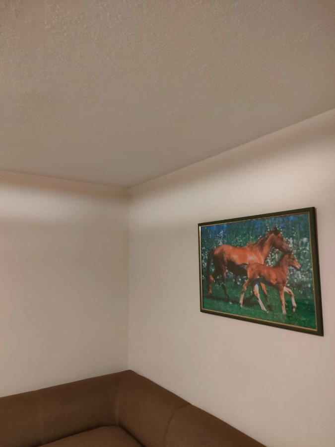 Apartament 6 Osobowy Szklarska Poręba Esterno foto